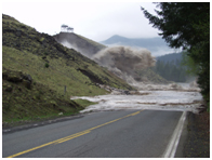 Forensic Studies-Earthen Dam Failure